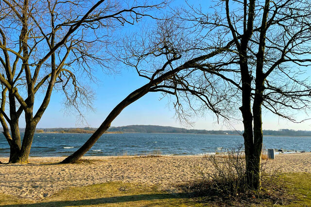 Ferienhaus in Schleswig - Wasserhaus Schlei - Bild 16