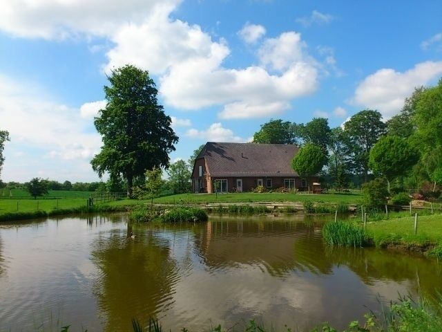 Ferienwohnung in Rieseby - Gut Büchenau - Ferienwohnung Meeresbrise - Bild 7