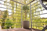 Ferienwohnung in Dierhagen - Sonnige Ferienwohnung am Strand - Sonniger Balkon mit Blick auf den Küstenwald