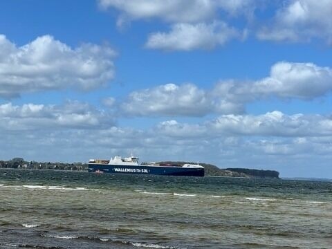 Ferienwohnung in Dassow - Ostsee Oase Pötenitz - Bild 22