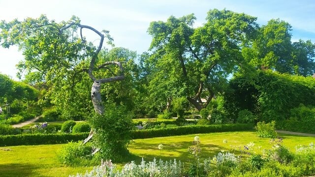 Ferienwohnung in Starkow - Ferienwohnung Irisgarten am Pfarrgarten Starkow - Bild 20