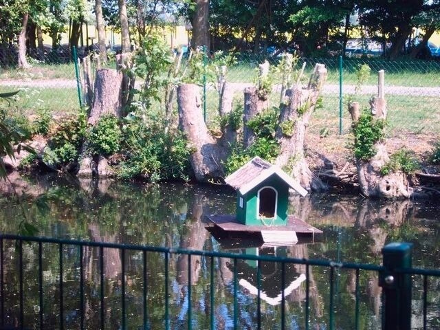 Ferienwohnung in Fehmarn - "Höper Mittelhof" Ferienwohnung im Anbau - Bild 8