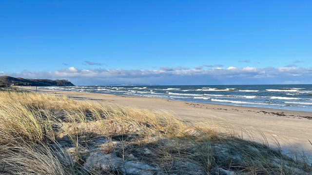 Ferienhaus in Baabe - Meeresblume - Baabe - Bild 20