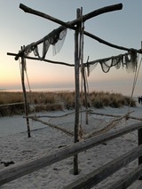 Ferienwohnung in Zingst - Osteemeerchen - Bild 1