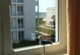 Ferienwohnung in Gro&szlig;enbrode - Meerblick 11 - Seem&ouml;we - Bild 12