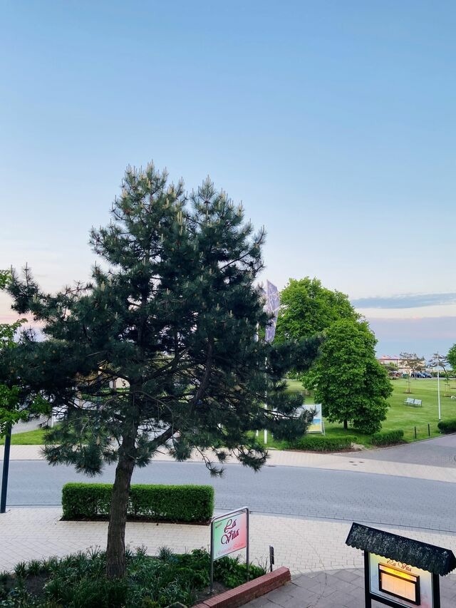 Ferienwohnung in Grömitz - Bretterbutze Meer.Blick.Butze - Bild 2