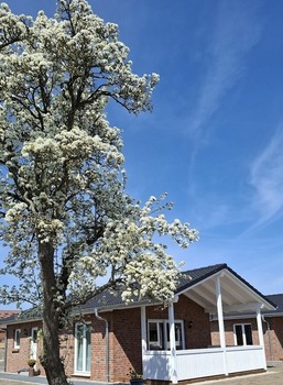 Hof Hagen - "Am Birnenbaum" (NEU ab Frühjahr 2025)