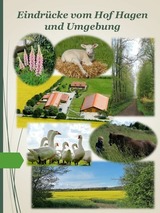 Ferienhaus in Grömitz - Hof Hagen - "Am Birnenbaum" (NEU ab Frühjahr 2025) - Bild 16
