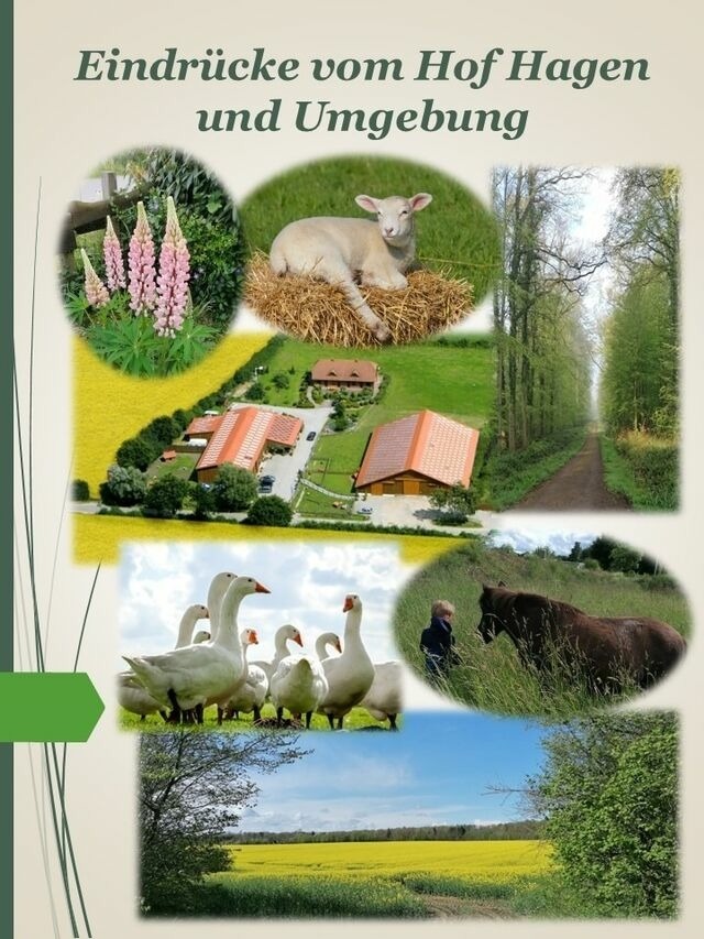 Ferienhaus in Grömitz - Hof Hagen - "Am Birnenbaum" (NEU ab Frühjahr 2025) - Bild 16