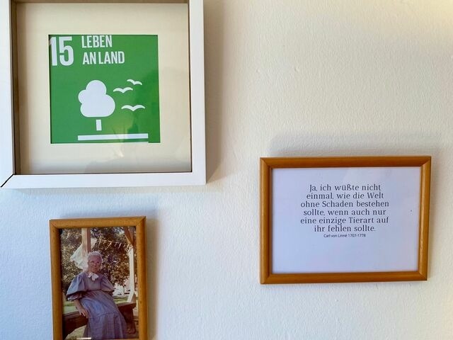 Ferienwohnung in Gelting - Janbecks FAIRhaus - Ferienwohnung Bauernstube - Bild 20