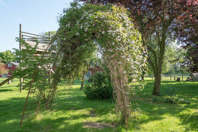 Ferienwohnung in Grömitz - Feldblick - Bild 15