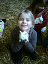 Ferienwohnung in Grömitz - Feldblick - Bild 23