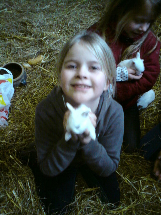 Ferienwohnung in Grömitz - Feldblick - Bild 23