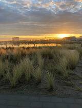 Ferienwohnung in Fehmarn OT Burgtiefe - Cozy Beach - Bild 16
