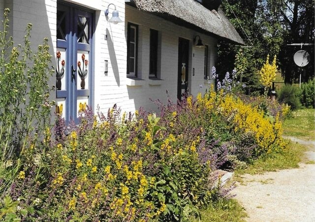 Ferienwohnung in Ostseeheilbad Zingst - Achtern Diek Haus 8 Wohnung 3 - Bild 2