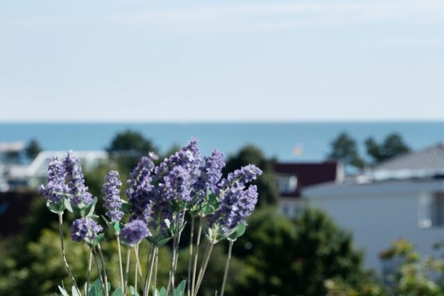 Ferienwohnung in Dahme - Berolina Seeblick - Bild 7