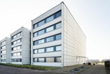 Ferienwohnung in Fehmarn OT Burgtiefe - Stranddistel 4 Hafenkoje - Bild 19