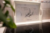 Ferienwohnung in Grömitz - Fischerstraße 10a Küstenvogel - Bild 19