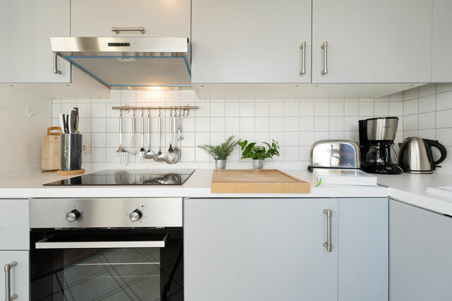Ferienwohnung in Fehmarn OT Strukkamp - Strukkamp 4b Sonnen-Oase - Bild 17