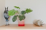 Ferienwohnung in Dahme - Berolina Wohnung 504 - Bild 14