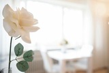 Ferienwohnung in Timmendorfer Strand - Haus Seepferdchen am Meer Appartement 2 - Bild 8