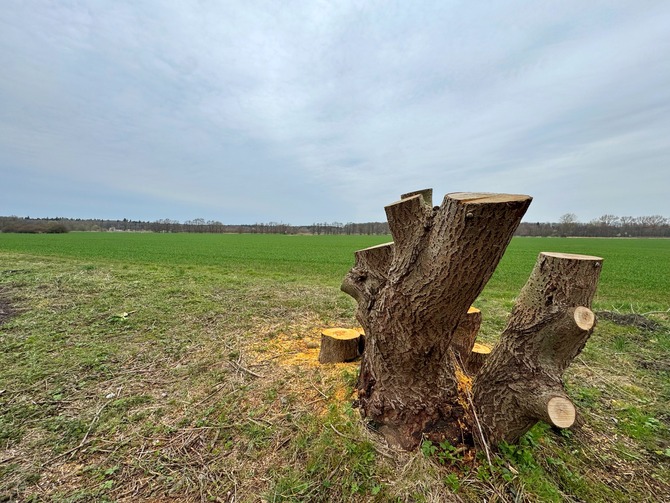 Ferienwohnung in R&ouml;vershagen - Sonne und Me(eh)r (Niederhagen) - Aussicht