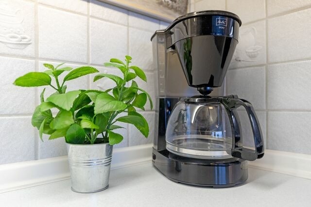 Ferienwohnung in Dahme - Strandhotel Dahme Schwalbennest Dahme - Bild 21