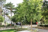 Ferienwohnung in Ahlbeck - (Brise) Strandresidenz Else Marie App. 0.3 - Bild 15