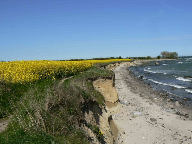 Ferienhaus in Gro&szlig;enbrode - Strandperle 8 - Gro&szlig;enbrode - Bild 17