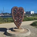 Ferienwohnung in Fehmarn OT Burg - Ferienwohnung Fehmarn Kleine Freiheit - Bild 15