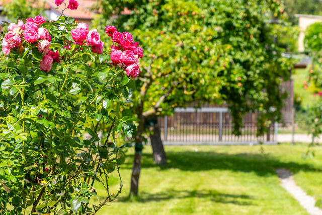 Ferienhaus in Kl&uuml;tz - Ferienhaus Andersson - Bild 7