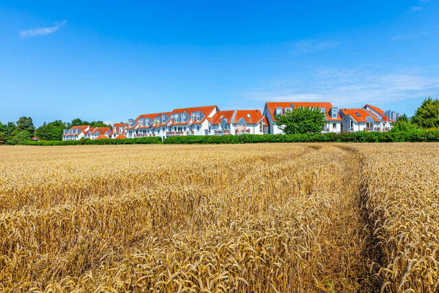 Ferienwohnung in Boltenhagen - S&uuml;nnslag Wohnung 007 - Bild 23