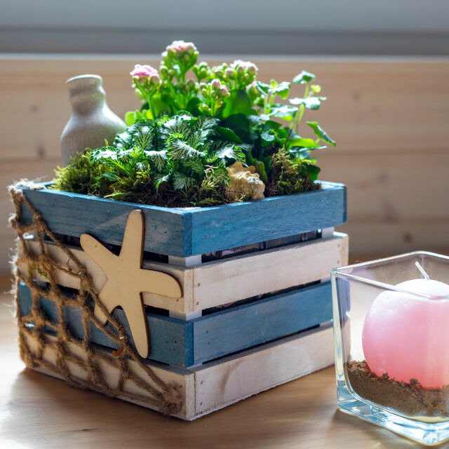 Ferienwohnung in Fehmarn OT Burgstaaken - Hausboot Kaddi`s Sunflower - Huus & Meer - Bild 16