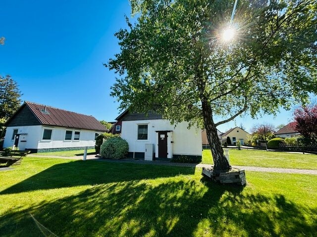 Ferienhaus in Zingst - Boddenwind 2 - Bild 14