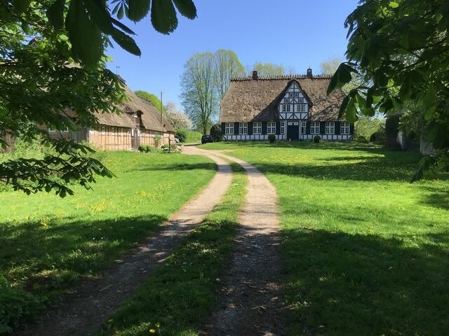 Ferienwohnung in Twedt - Hof L&uuml;cke - Ferienwohnung Natur - Bild 13