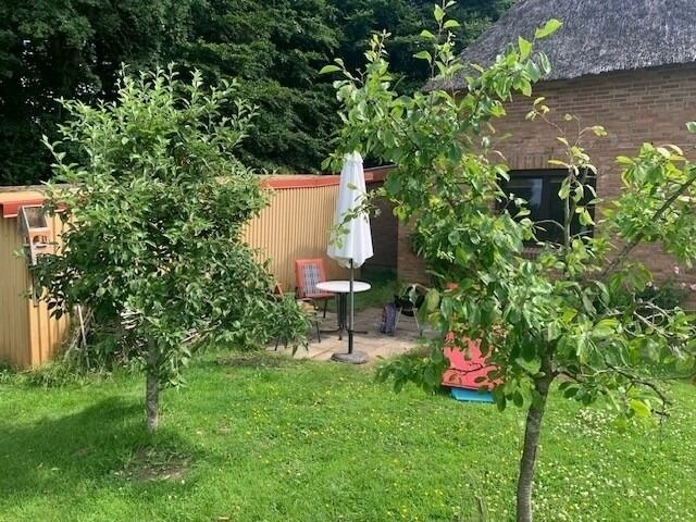 Ferienwohnung in Schaalby - Ferienwohnung Urlaub im Wald - Bild 2