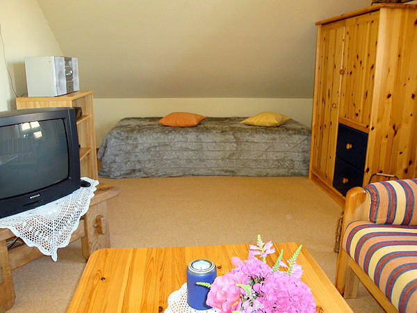 Ferienwohnung in Kappeln OT Kopperby - Ferienwohnung 1 Rosentr&auml;ger 45 qm - Bild 3
