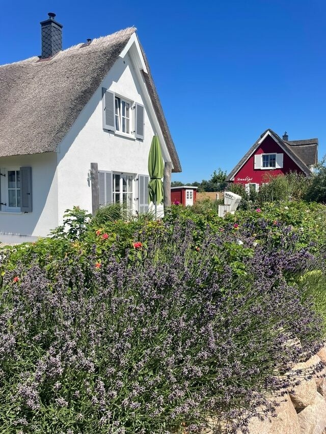Ferienhaus in Zierow - Reethaus "Hornhecht" - Bild 17