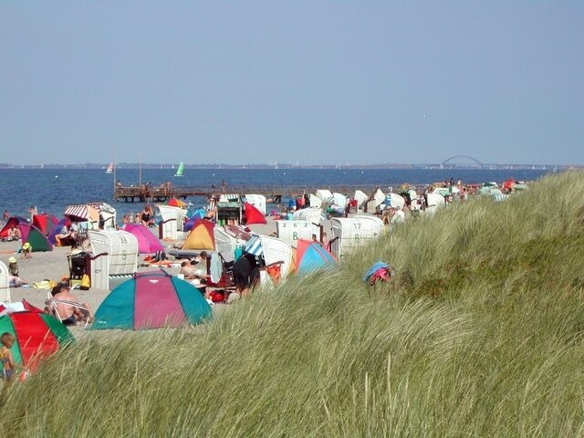 Ferienwohnung in Heiligenhafen - Meeresidyll C-6-7 - Bild 16