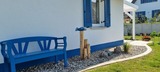 Ferienhaus in Zierow - Reethaus "L&uuml;tt Dr&ouml;m" - Bild 13