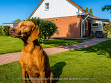 Ferienhaus in L&uuml;tow - Ostseeferienhaus Usedom L&uuml;tow am Achterwasser Hundefreundlich Naturlage Familie Christian Ziethen - Bild 14