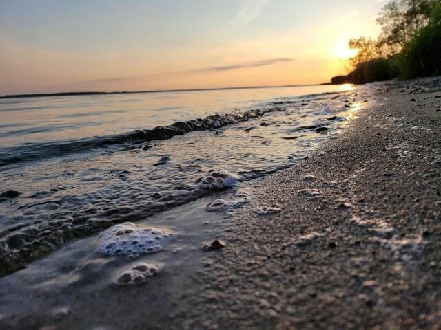 Ferienhaus in L&uuml;tow - Ostseeferienhaus Usedom L&uuml;tow am Achterwasser Hundefreundlich Naturlage Familie Christian Ziethen - Bild 25