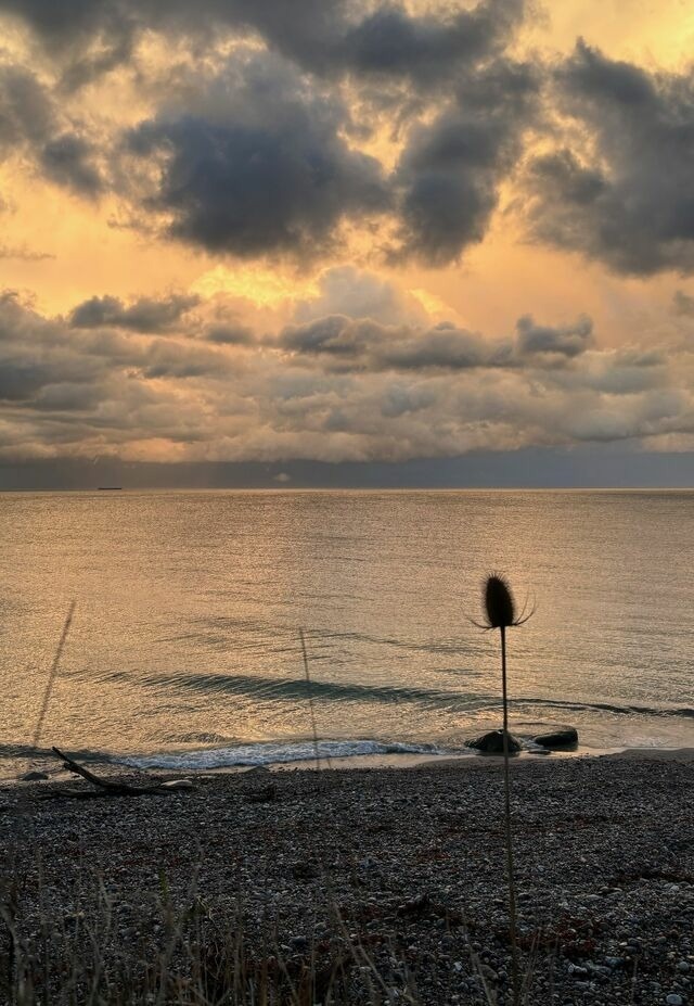 Ferienwohnung in Fehmarn OT Marienleuchte - Frida am Meer - Bild 18