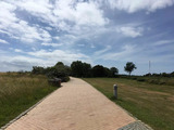 Ferienwohnung in Fehmarn OT Burgtiefe - Steuerbord zwischen S&uuml;dstrand und Yachthafen - Bild 15