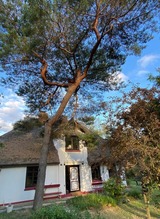 Ferienhaus in Dierhagen - Buhne 27 - Bild 3