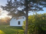 Ferienhaus in Dierhagen - Buhne 27 - Bild 4