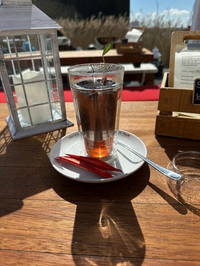 Ferienwohnung in Zingst - Sonne - Bild 2